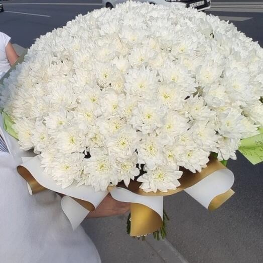 Акция! Огромный шикарный букет из 49 белых хризантем