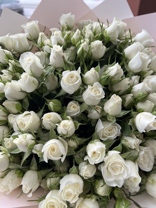 Букет из 25 белых роз «Смысл»